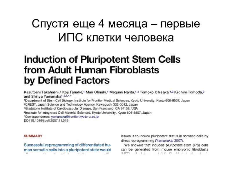 Спустя еще 4 месяца – первые ИПС клетки человека